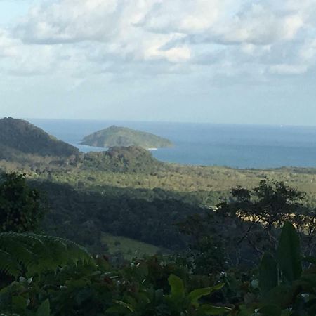 Egrets Rest Daintree Exterior foto
