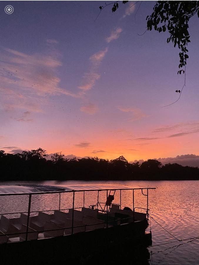 Egrets Rest Daintree Exterior foto