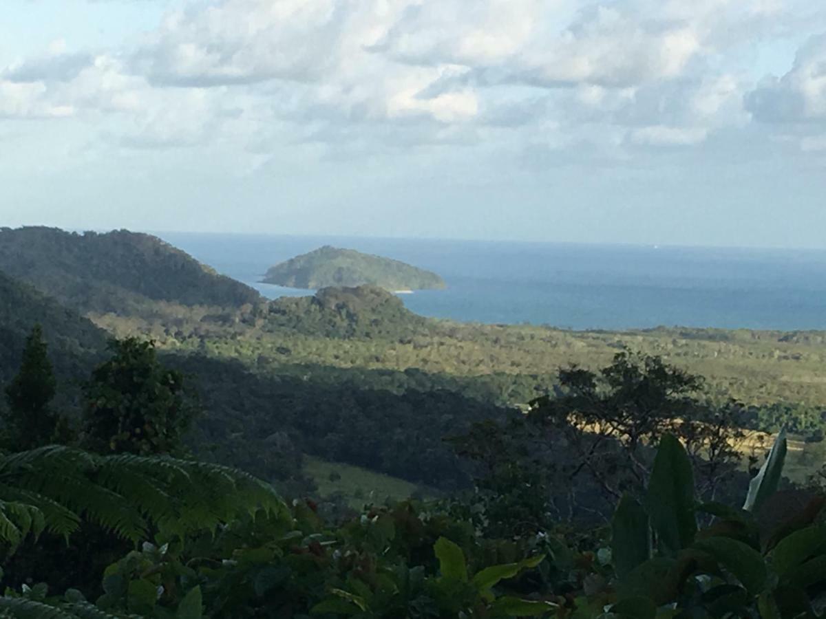 Egrets Rest Daintree Exterior foto